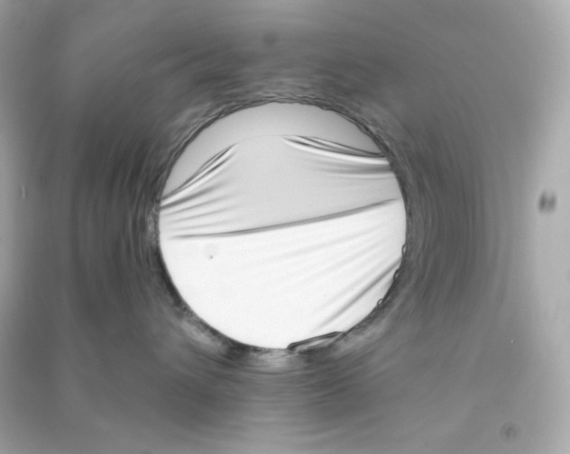 X0000090420432200708101946