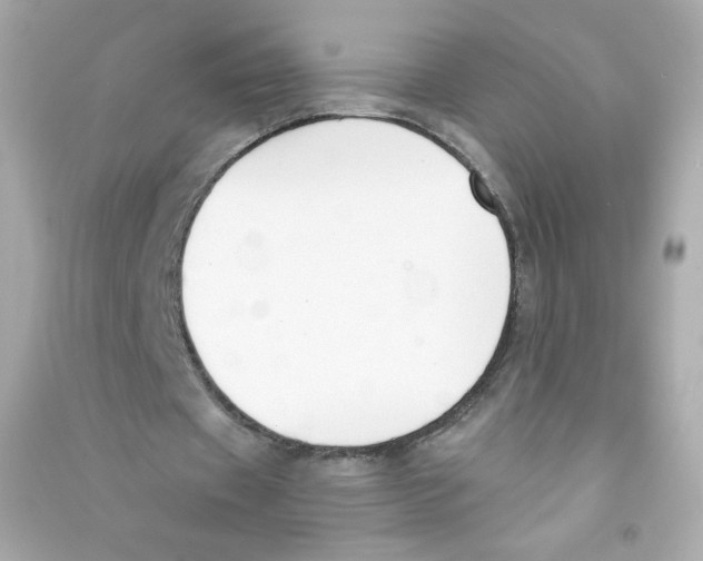 X0000090420433200708101946
