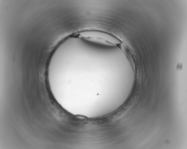 X0000090420434200708101946