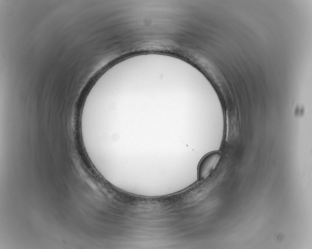 X0000090420435200708101946