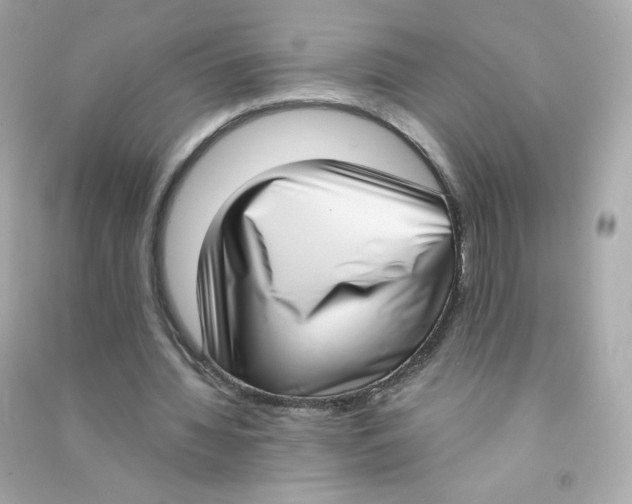 X0000090420436200708101946