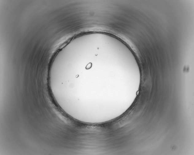 X0000090420437200708101946