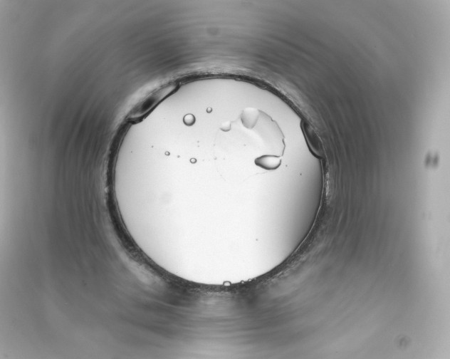 X0000090420438200708101946