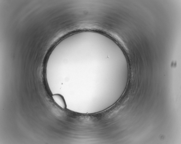 X0000090420439200708101946
