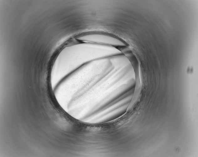 X0000090420440200708101946