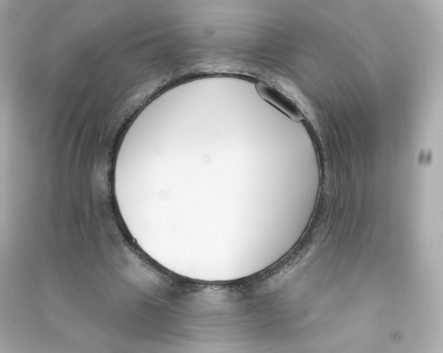 X0000090420441200708101946