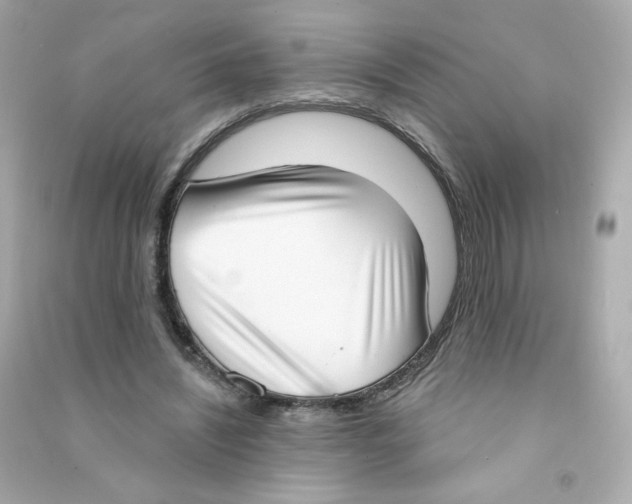 X0000090420444200708101946