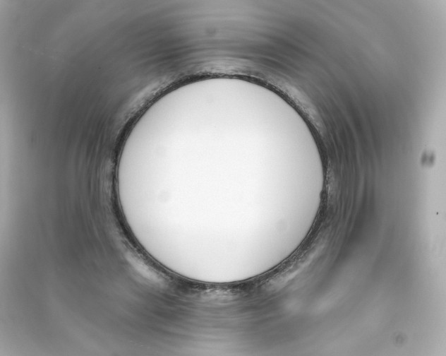 X0000090420445200708101946