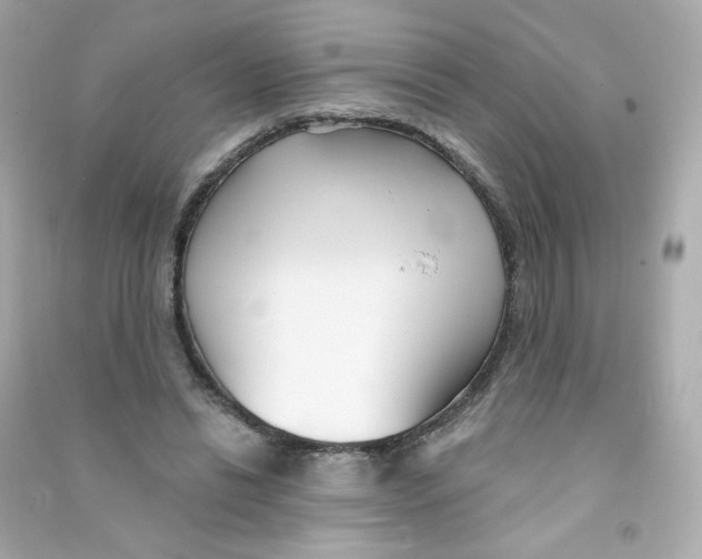 X0000090420446200708101946