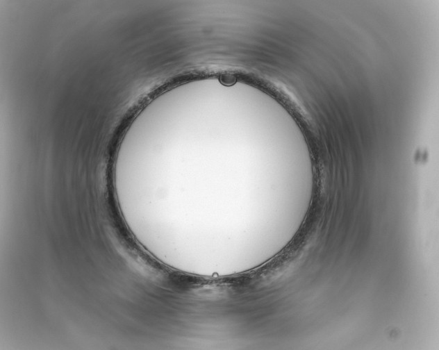 X0000090420447200708101946