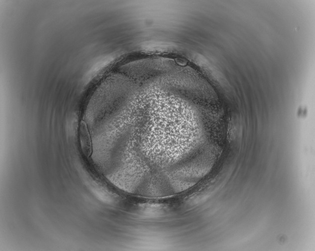 X0000090420448200708101946