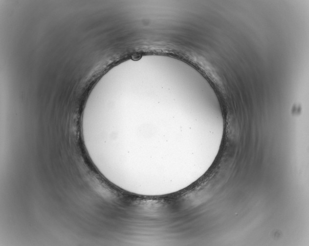 X0000090420449200708101946