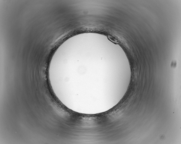 X0000090420450200708101946