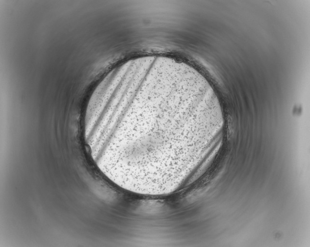 X0000090420451200708101946