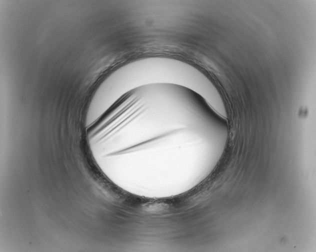 X0000090420452200708101946