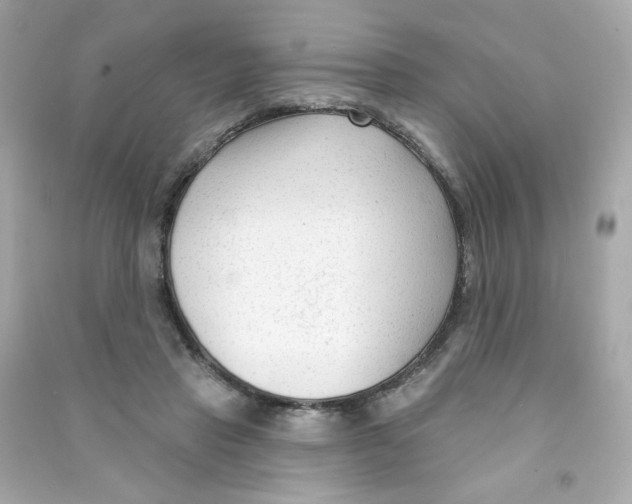 X0000090420453200708101946