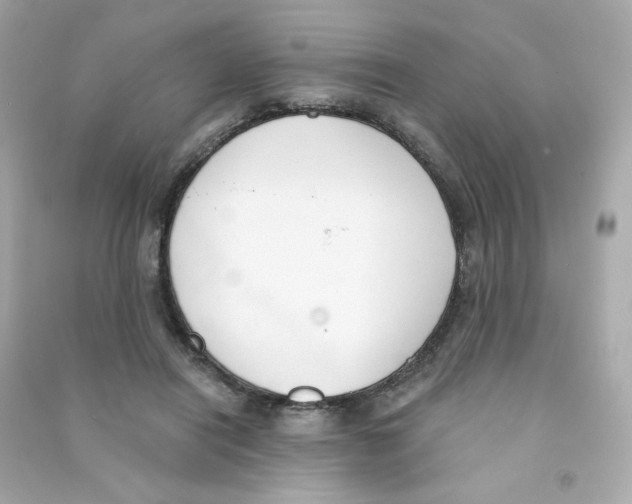 X0000090420454200708101946