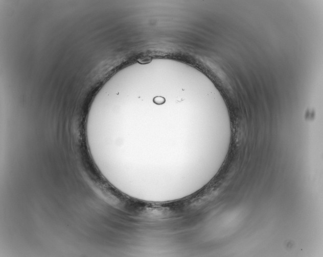 X0000090420455200708101946