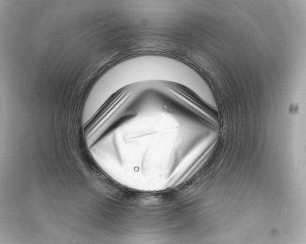 X0000090420456200708101946