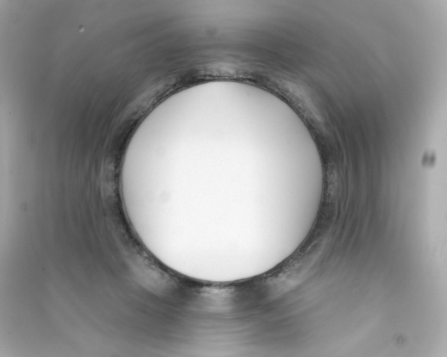 X0000090420457200708101946