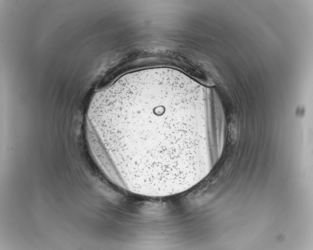 X0000090420458200708101946