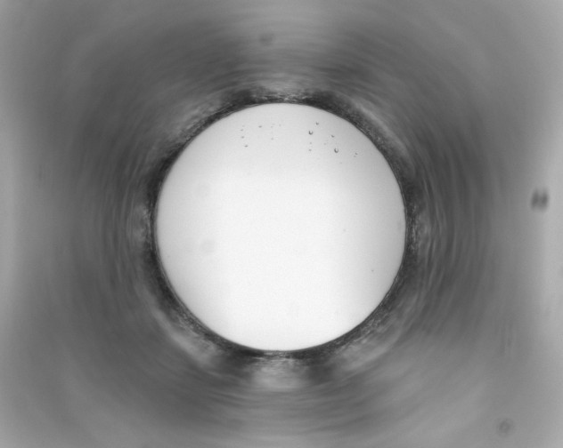 X0000090420459200708101946