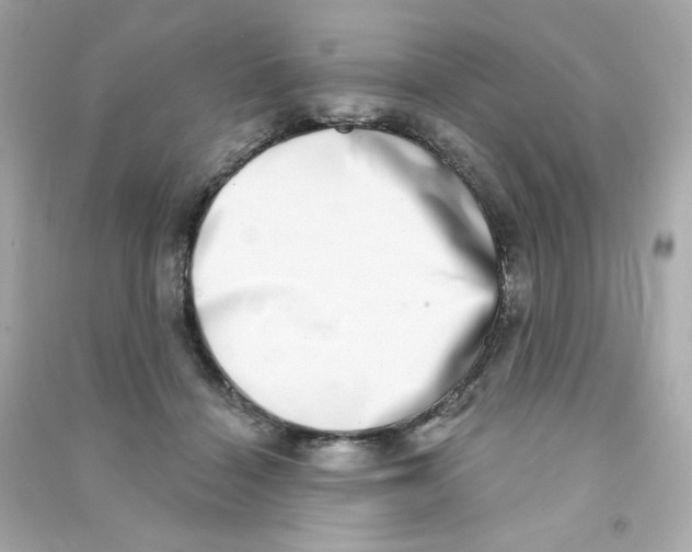 X0000090420460200708101946