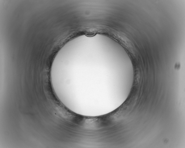X0000090420461200708101946