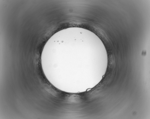 X0000090420463200708101946