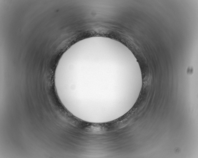 X0000090420464200708101946