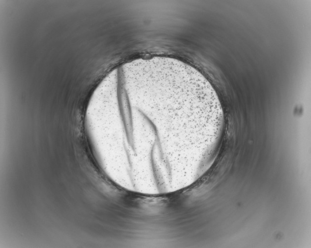 X0000090420465200708101946