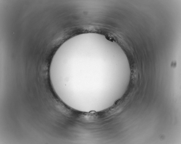 X0000090420466200708101946