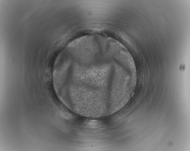 X0000090420467200708101946