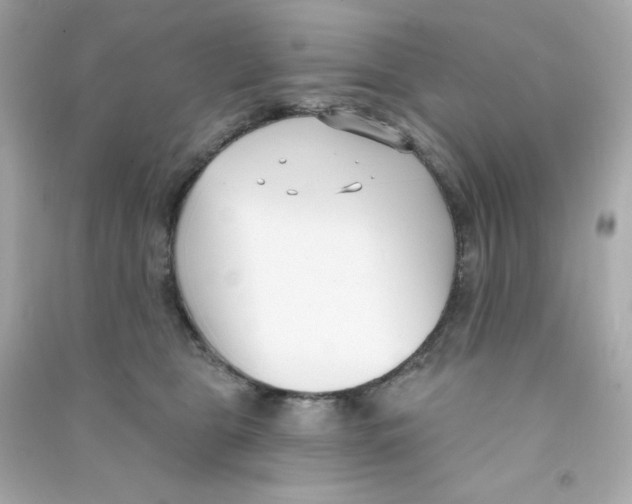 X0000090420469200708101946