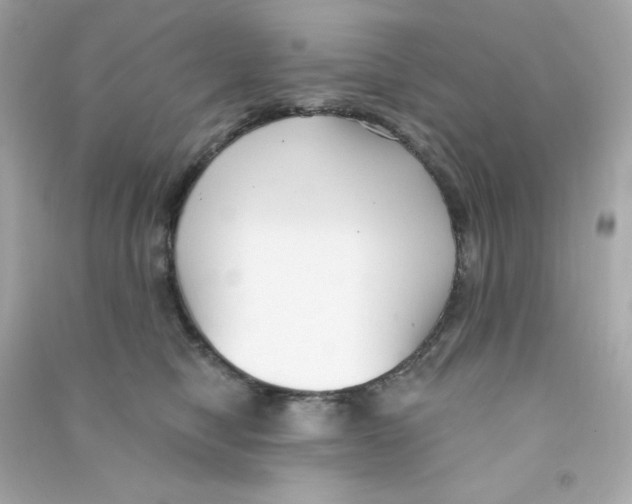 X0000090420470200708101946