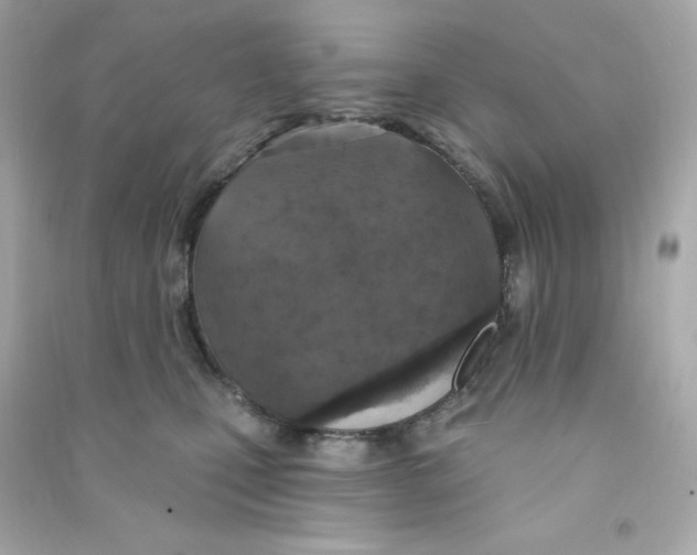 X0000090420471200708101946