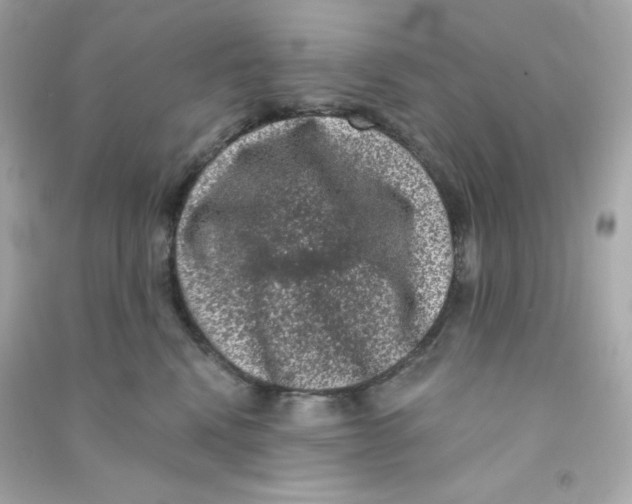 X0000090420472200708101946