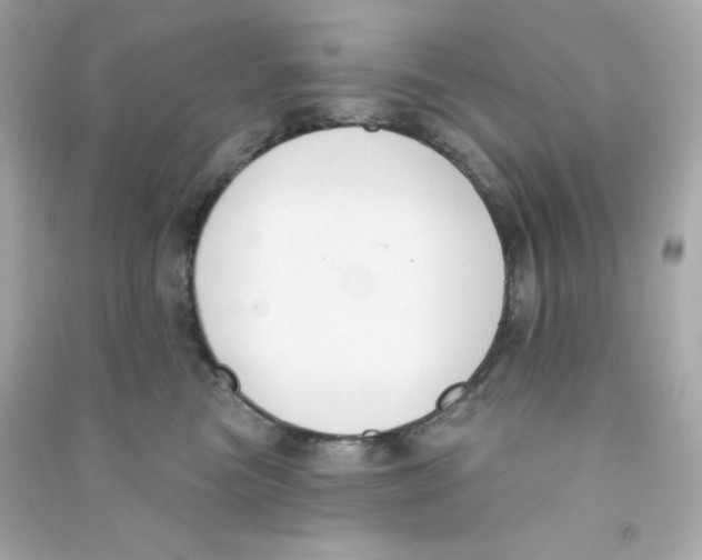X0000090420473200708101946