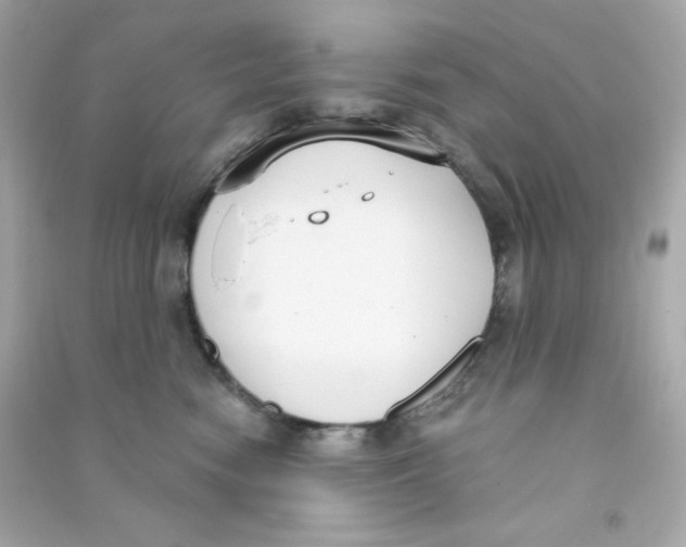 X0000090420474200708101946