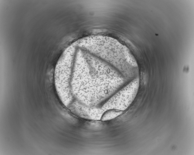 X0000090420475200708101946