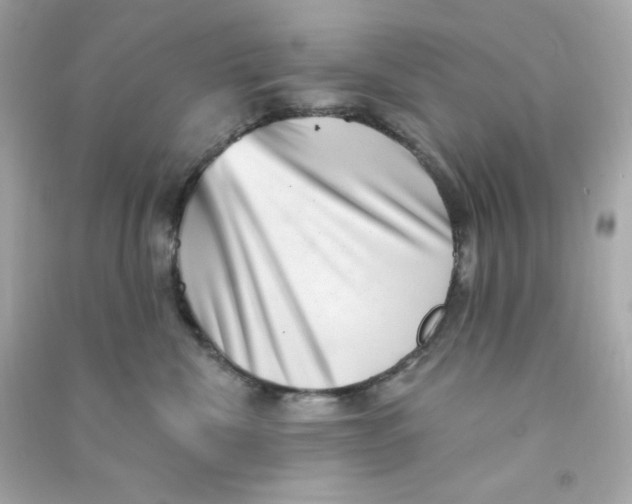 X0000090420476200708101946