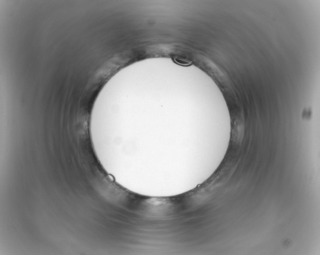 X0000090420477200708101946