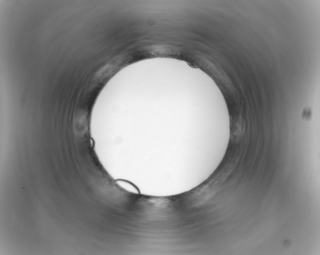 X0000090420478200708101946
