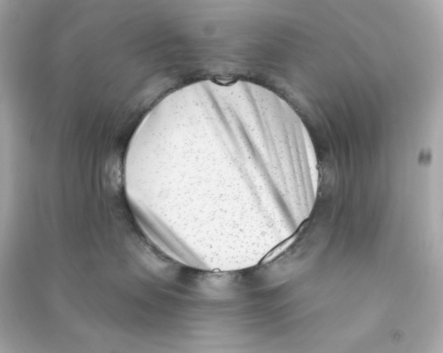 X0000090420479200708101946