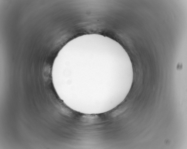 X0000090420480200708101946