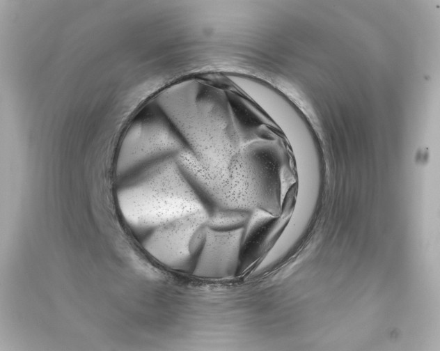 X0000090420481200708101946