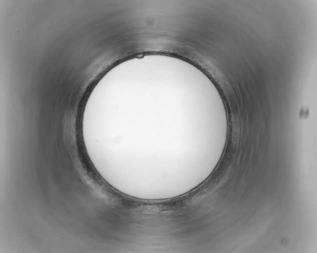 X0000090420482200708101946