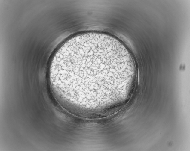 X0000090420483200708101946