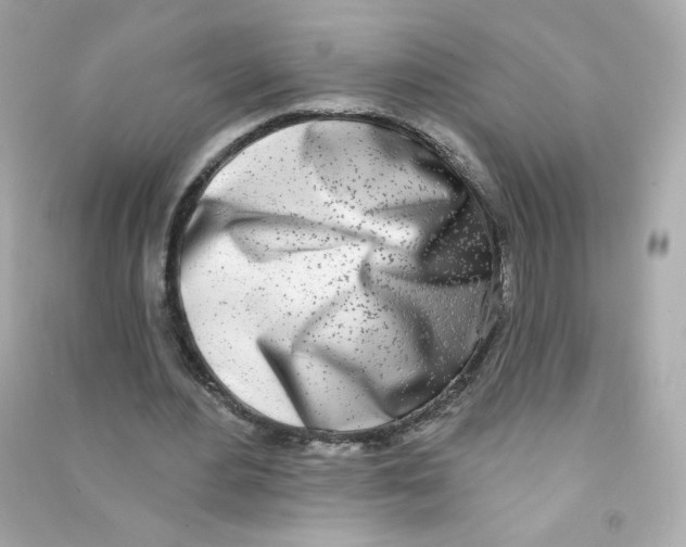 X0000090420484200708101946