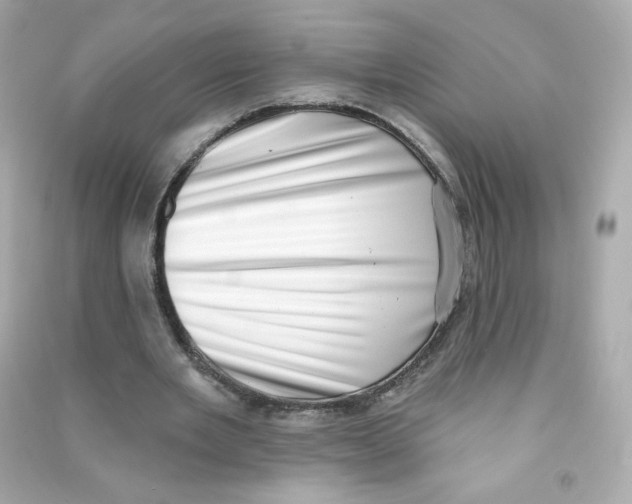 X0000090420485200708101946